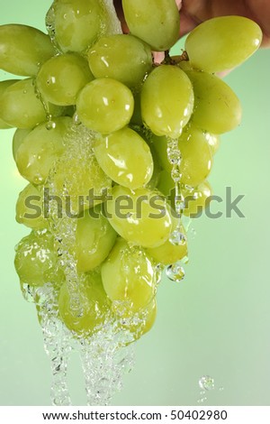 Extreme close-up image of washing grape with soft background