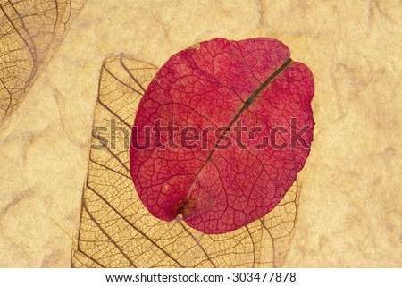 Pink Petal and Leaf Pressed On Recycled Paper Horizontal Background