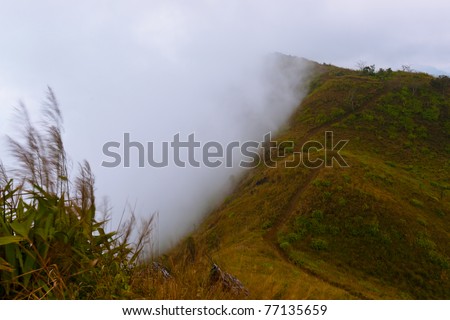 Photos nature, The movement of the fog, the flow of clouds, The formation of clouds, the mountain scenery, the sea fog in Thailand,Asia,Phu Chi Fa