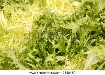 lettuce leaves - vegetarian background