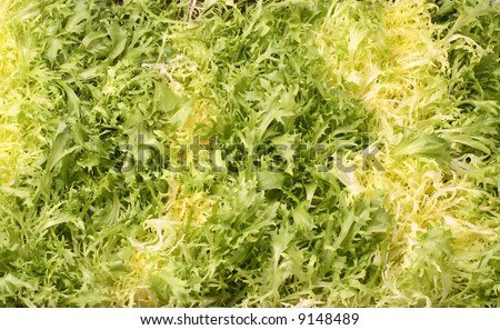 lettuce leaves - vegetarian background
