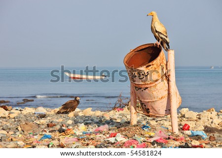 dirty rubbish bin