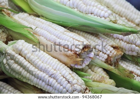 Ears of white corn at farmers market