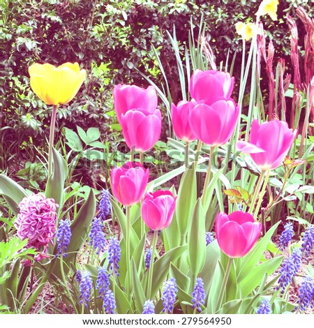Colorful spring flowers digitally edited a festive work of art