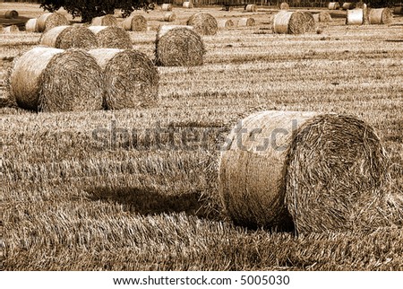 Hay bails in hay field in black and white with sepia tone