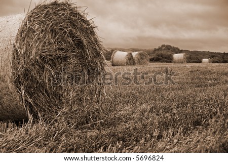 Hay bails in hay field in black and white with sepia tone