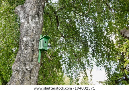 Green bird house nesting-box hang on old birch tree trunk and branches move in wind.