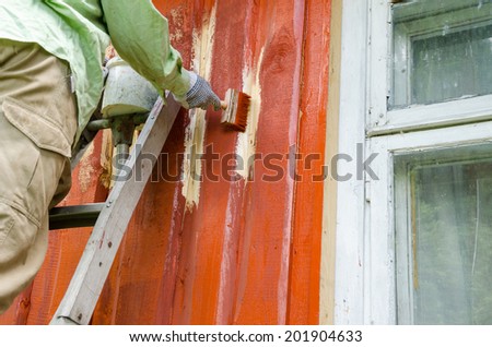 Painter worker man on ladder paint wooden rural house wall with brush paintbrush near window.