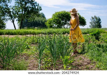 Barefoot gardener woman girl in dress and hat work in garden with hoe between garlic and pea plants.