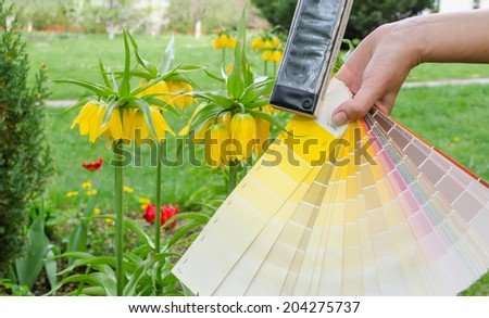 pastel warm yellow tone color palette and yellow garden flower