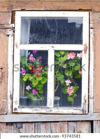 Old wooden farmstead house fogged window and flowers growing on the windowsill.