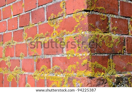 Corner Brick Wall