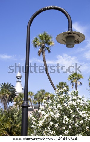 The composition of a lamppost with palms and historic building in a background (Tampa, Florida).