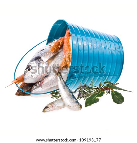 Different fresh marine fish in the blue bucket isolated on white background