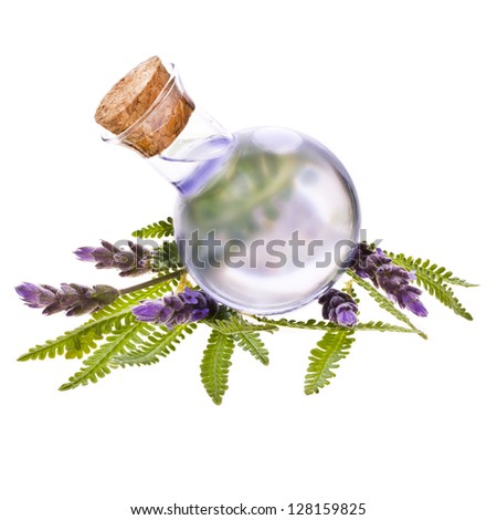 Lavender herb flower water in a glass bottle with flowers , isolated on white background