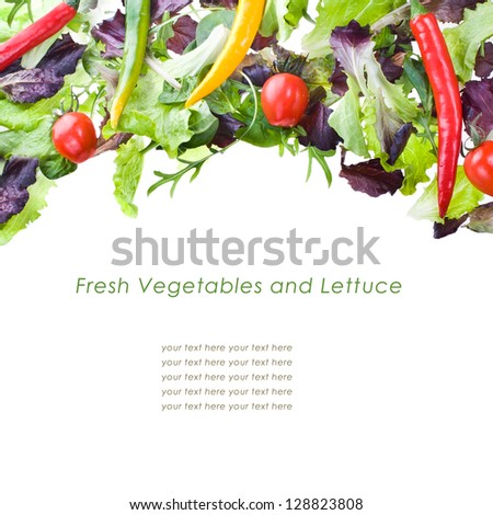 fresh vegetables and lettuce isolated on a white background   with sample text