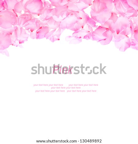 petals pink almond lined both side isolated on white background  with sample text