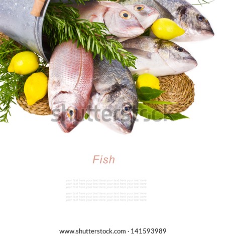 fresh Dorado fish and other fish in a tin bucket with fresh leaves and herbs and lemon isolated on white background