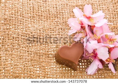 blossom almond and a candy cane in a heart shape with needle on fabric sack texture background