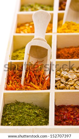 Different colored ground spices powders and solid with wooden spoons  isolated on white background