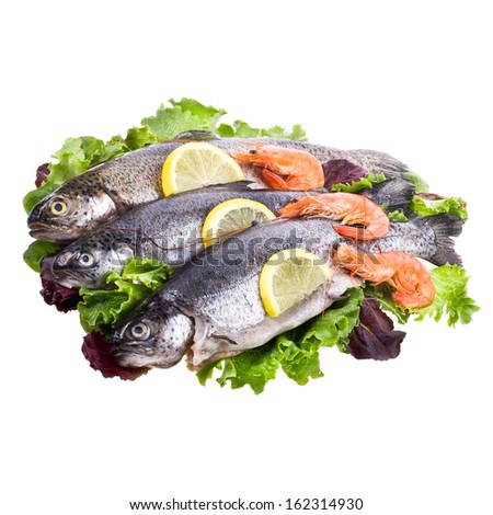 fresh trout lying on the leaves of lettuce, garnished with lemon wedges and shrimp isolated on white background