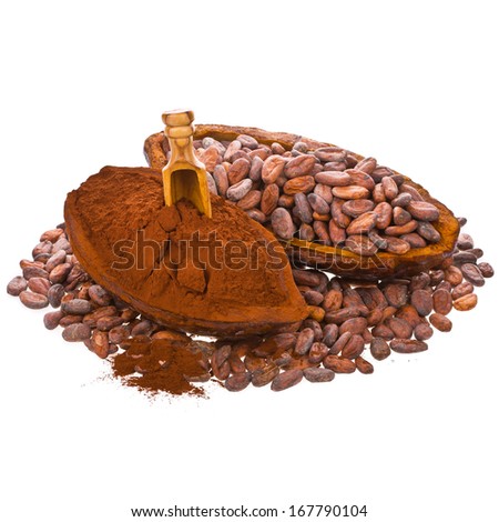 cocoa beans into cocoa fruit and spilled beans isolated on white background