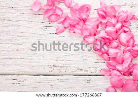 pink petals of almond flowers scattered on white old boards  as background
