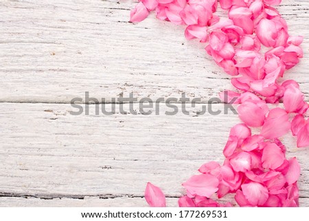 pink petals of almond flowers scattered on white old boards  as background