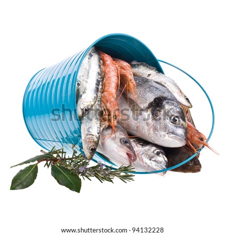 Different fresh marine fish in the blue bucket on white background
