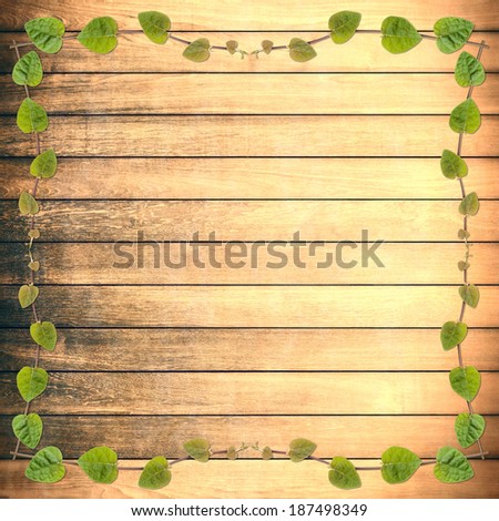 green creeper plant frame on rough wood plank background