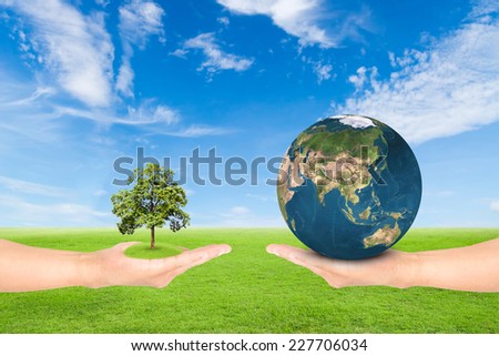 Green Earth concept,hand holding tree and earth against green field and blue sky background.Elements of this image furnished by NASA