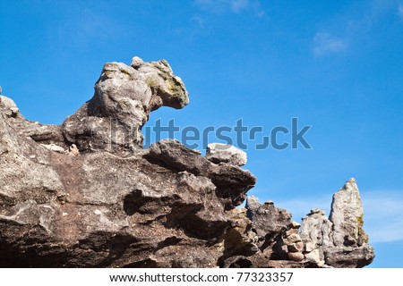 Mouse stone and blue sky,The Natural Stone as Mouse in the National Park,Ubonratchathanee Province,Thailand