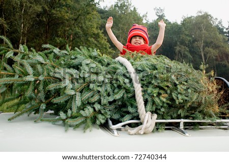 Tree On Car