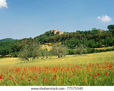 tuscan scenes