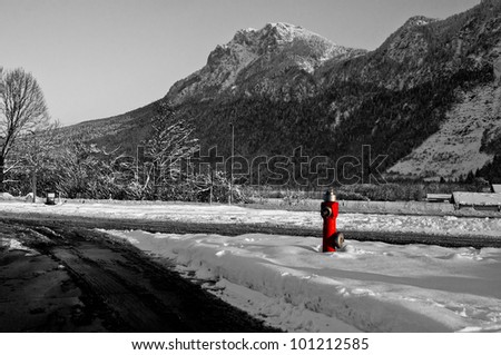 Fire Hydrant in the Snow (Brenner Pass)
