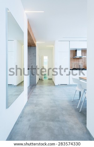interior of modern apartment - hallway leading to the kitchen and bathroom
