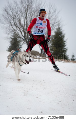 DONOVALY, SLOVAKIA - FEBRUARY 11: Reistetter Roman (SVK) places second in cat. SKJ MEN in the X. World sleddog racing Championship F.I.S.T.C. on the track, February 11, 2011 in Donovaly, Slovakia