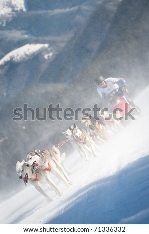 DONOVALY, SLOVAKIA - FEBRUARY 12: tough weather conditions during second race day  in X. World sleddog racing Championship, February 12, 2011 in Donovaly, Slovakia