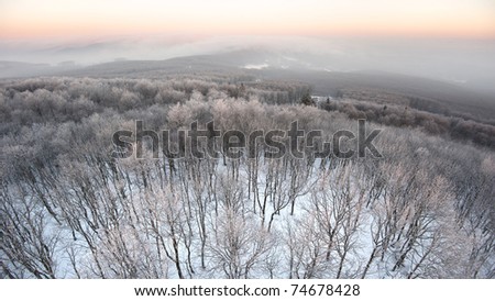 beautiful sunrise in winter forest