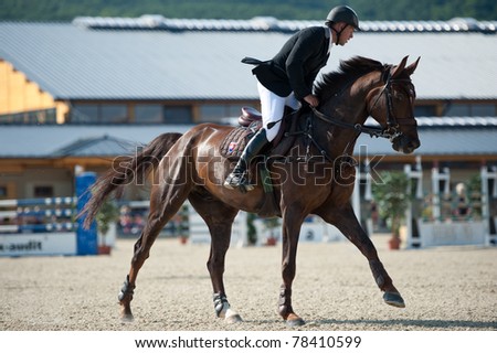 PEZINOK, SLOVAKIA - MAY 29: Radovan Sillo on horse Chieano (SVK) rides for silver medal at Sharon Grand Prix CSI1* on May 29, 2011 in Pezinok, Slovakia