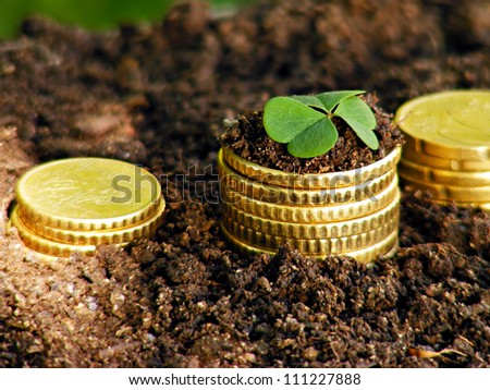 Money growth. Golden coins in soil with young plant. Financial m
