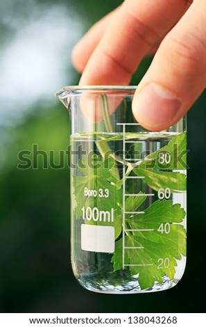 Green leaf in laboratory bottle with water. Science concept.
