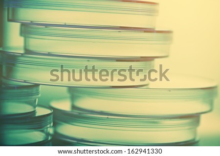Petri dishes in yellow fill light. Laboratory concept.