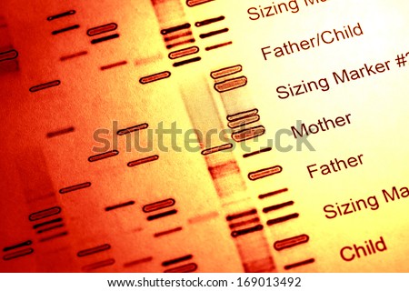 DNA fingerprint data on a paper Macro image DNA fingerprint data on a paper Macro image