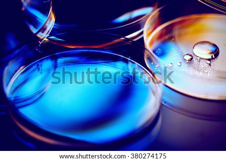 Petri dishes. Laboratory concept.