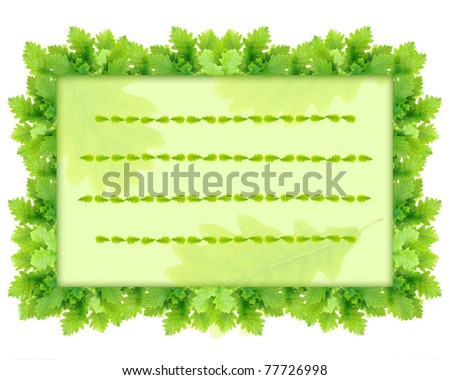 Green oak leaves framework with leaf lines isolated on white background