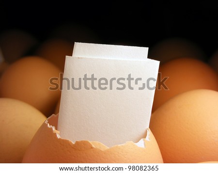 Blank paper with text area in opened eggshell