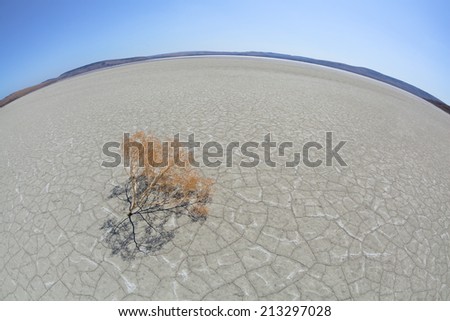 Barren landscape photographed in the afternoon