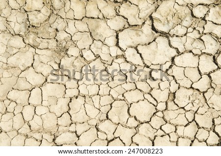 texture of the crackled red clay in the desert