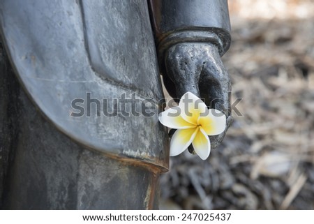 White flowers in hand statue.